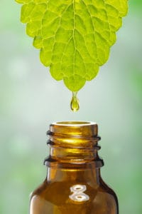 essential oil leaf